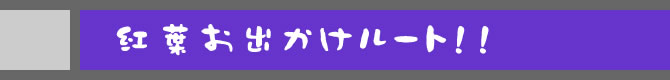 紅葉お出かけルート！！