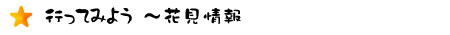 行ってみよう　～花見情報