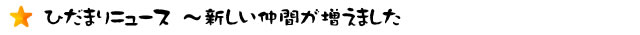 ひだまりニュース　～新しい仲間が増えました