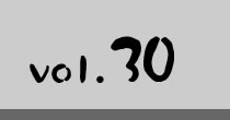 Vol.30