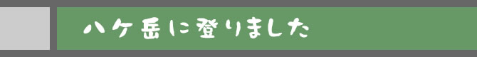 八ヶ岳に登りました