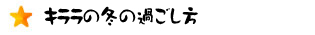 キララの冬の過ごし方