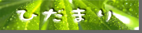 ひだまり